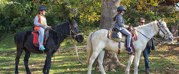 ippasia pelion horse riding